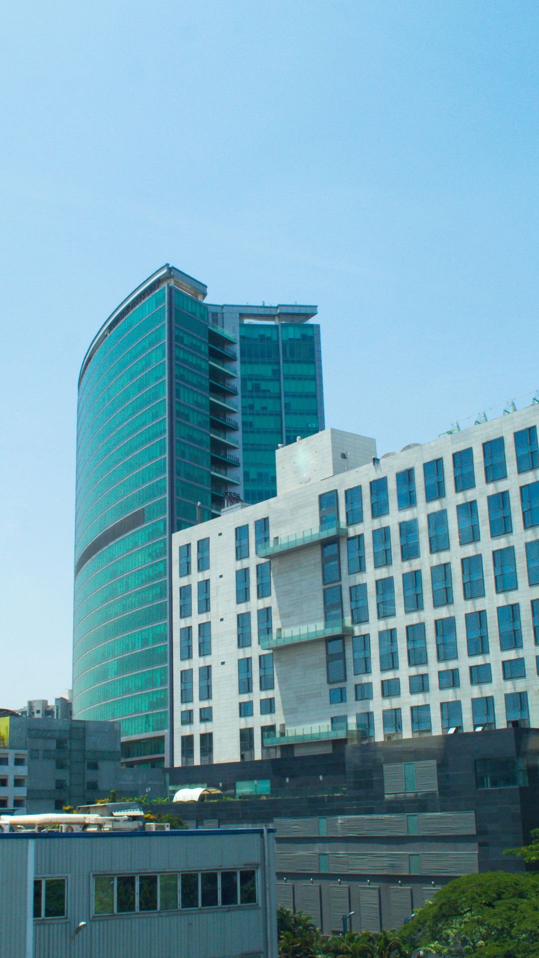 Whitefield